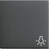 Gira 028528 Клавиша с символомСвет