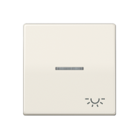 Jung AS 591 KO5L Клавиша с символом «освещение» и окошком