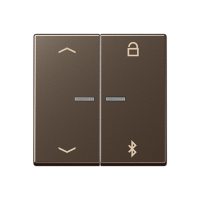 Jung A 1751 PBT MO Таймер универсальный Bluetooth «стрелки»