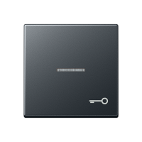 Jung A 590 BFKO5 T ANM Kлавиша с символом «ключ» и окошком