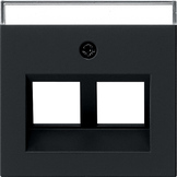 Gira 2640 005 Накладка с наклоненным на 30° выходным отверстием и полем для надписи для опорного кольца Modular Jack 2-местн.