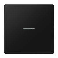Jung LS 10911 ST RF SWM KNX RF кнопка, 1 группа, Цвет: Черный, оттенок: Матовый графит