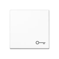 Jung A 590 BF T WW Клавиша с символом «ключ»