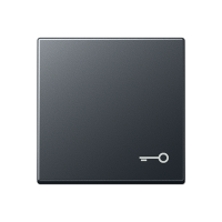 Jung A 590 BF T ANM Клавиша с символом «ключ»