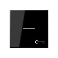 Jung A 590 BFKO5 T SW Kлавиша с символом «ключ» и окошком