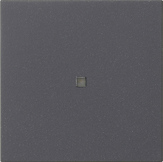 Gira 536828 Накладка управления System 3000 BT