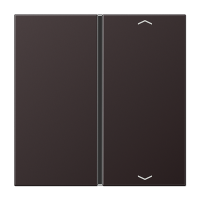 Jung AL 2401 TSAP D Накладка, 1-ная с символами «стрелки»