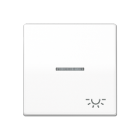 Jung AS 591 KO5L WW Клавиша с символом «освещение» и окошком