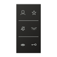 Jung SI V6 AL DC AN Накладка с символами видео