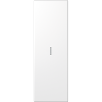 Jung ES 2993 KO5 WW Клавиша с большой поверхностью (70 х 212,4 мм) с окошком