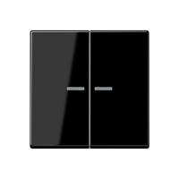 Jung A 10921 ST RF BF SW KNX RF кнопка, 2 группы, Цвет: Черный, оттенок: Без оттенка