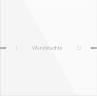 Gira 5031903 Набор клавиш одинарн., индивидуально для сенсорного выключателя 4