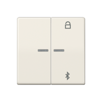 Jung AS 1751 BT Таймер универсальный Bluetooth