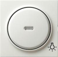 Gira 028540 Накладка с символом и клавиша с контрольным окошкомСвет