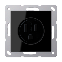Jung A 521-15 SW Розетка aмериканской системы NEMA
