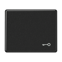 Jung SL 590 T SW Клавиша с символом «ключ»