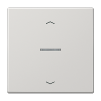 Jung LS 101 KO5P LG Клавиша с окошком и с символами «стрелки»