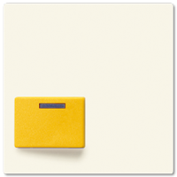 Jung A 642 D Крышка для Ackermann, тип 73642 D