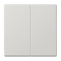 Jung LS 102 LG Kлавиша