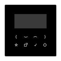 Jung DAB LS-DISP SW Дисплей