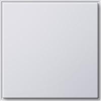 Gira 0268 66 Глухая крышка