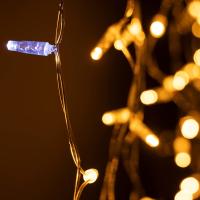 Arlight 031184 Светодиодная гирлянда ARD-EDGE-CLASSIC-2400x600-CLEAR-88LED-FLASH Yellow (230V, 6W) (ARDCL, IP65)