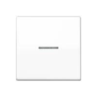 Jung AS 591 KO5BF WW Клавиша с окошком