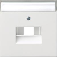 Gira 0284112 Накладка для коммутационной розетки UAE/IAE (ISDN) и коммутационной розетки подключения к сетиС полем для надписи