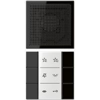 Jung SI AI LS 6 SW Внутренняя аудио панель