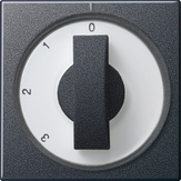 Gira 066928 Накладка с поворотной ручкой для 3-позиц. выключателяНейтральное положение