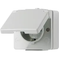 Jung 620 W SCHUKO®-розетка, 16 A 250 В ~, IP 44, WG 600