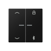 Jung A 1751 BFPBT SWM Таймер универсальный Bluetooth «стрелки»