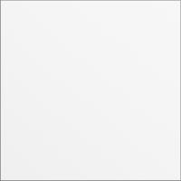 Gira 5568902 Заглушка System 106