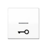 Jung ABAS 591 T1KO5 WW Безбарьерная средаKлавиша с рельефным символом «ключ» и окошком