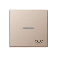 Jung A 590 KO5 L CH Клавиша с символом «освещение» и окошком