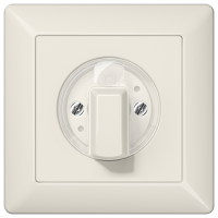 Jung AS 1541 ﻿Крышка