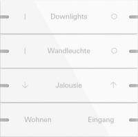 Gira 5034903 Набор клавиш четверн., индивидуально для сенсорного выключателя 4