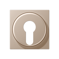 Jung A 528 PL CH Kрышка