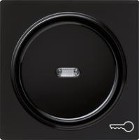 Gira 028747 Накладка с символом и клавиша с контрольным окошкомДверь