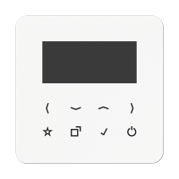 Jung DAB CD BT-DISP WW Дисплей