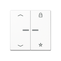 Jung A 1701 BFP WWM Центральная плата универсальная «стрелки»