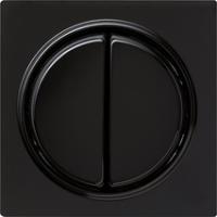 Gira 012547 Кнопочный выключатель 10 AX 250 В~ с накладкой и клавишей двойн.Двухканальный выключатель