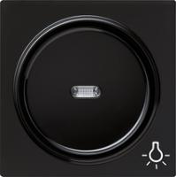 Gira 028547 Накладка с символом и клавиша с контрольным окошкомСвет