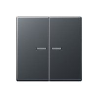 Jung A 10921 ST RF BF ANM KNX RF кнопка, 2 группы, Цвет: Антрацит, оттенок: Матовый