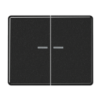 Jung SL 595 KO5 SW Клавиша с окошком