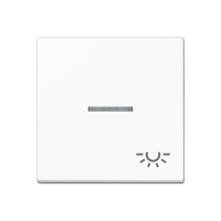 Jung A 590 BFKO5 L WW Клавиша с символом «освещение» и окошком