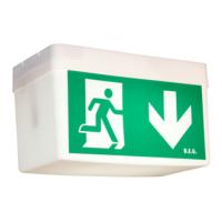 BEG Luxomat 93001 Классическое освещение BD21/Kombi-GL