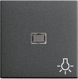 Gira 063028 Клавиша с большим контрольным окошком и символомСвет