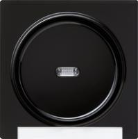 Gira 0670 47 Накладка с полем для надписи и клавишей с контрольным окошком