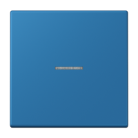 Jung LC 990 KO5 32030 Клавиша с окошком